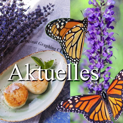 Akuelles